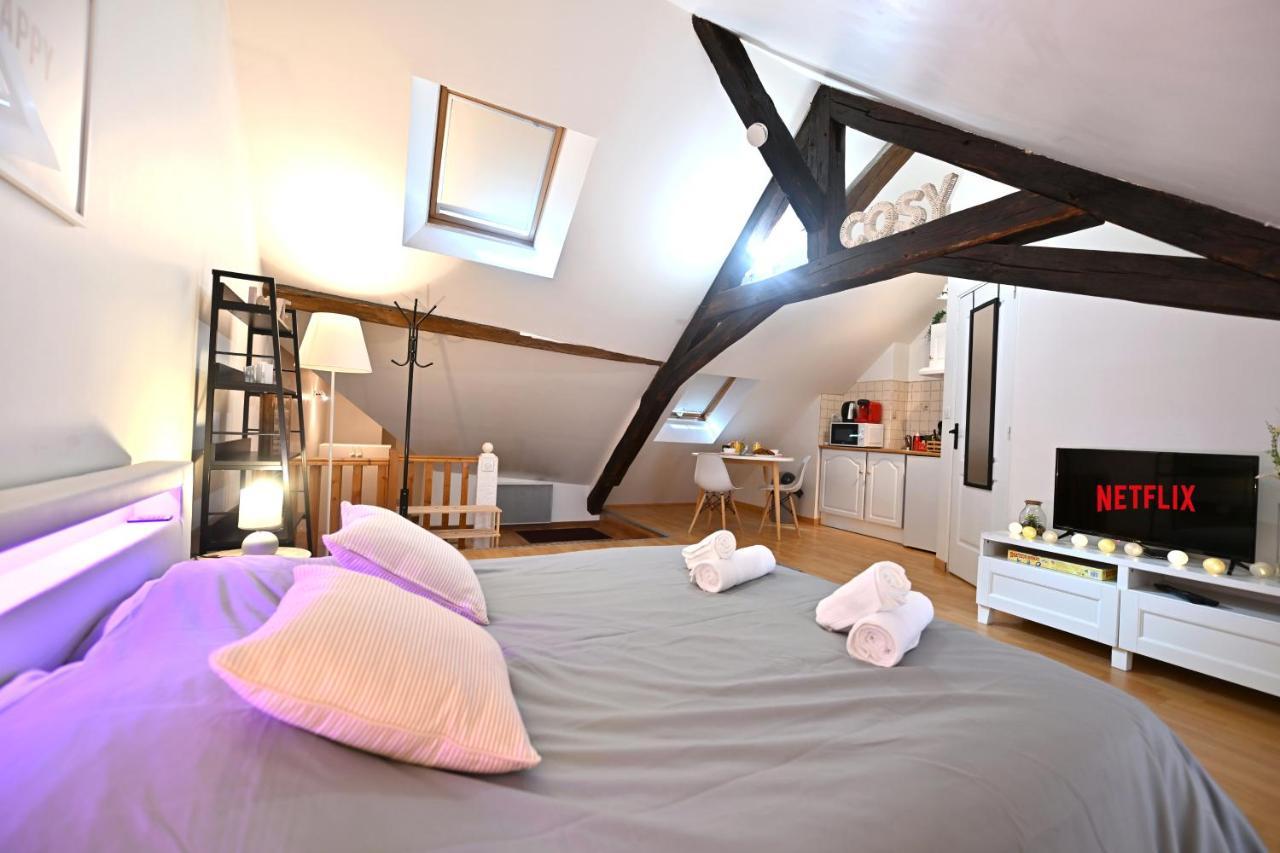 Apartmán Le Cosy Du Tambour D'Argent Sens Exteriér fotografie